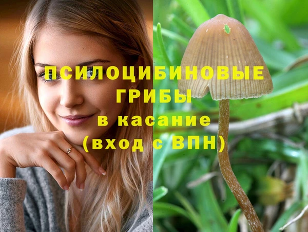 ALPHA-PVP Краснослободск