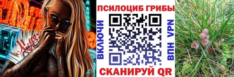 Псилоцибиновые грибы ЛСД  Купить  Пойковский 